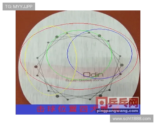 南京极限运动队快攻战术分析与成败经验分享